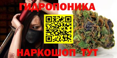 гашик Кунгур