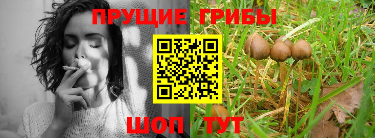 Галлюциногенные грибы Psilocybe  Галлюциногенные грибы Psilocybine cubensis  Вход с VPN  Казань 