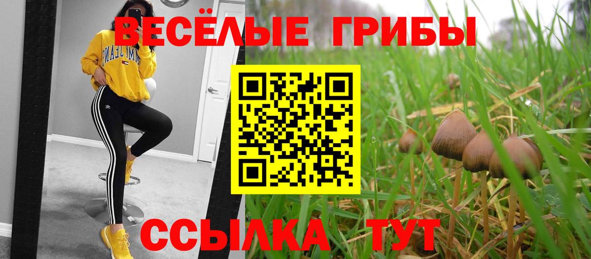 Псилоцибиновые грибы MAGIC MUSHROOMS Казань